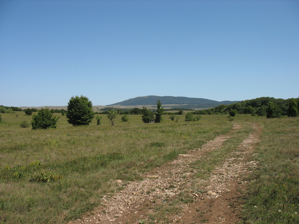 Яйла Орта-Сырт