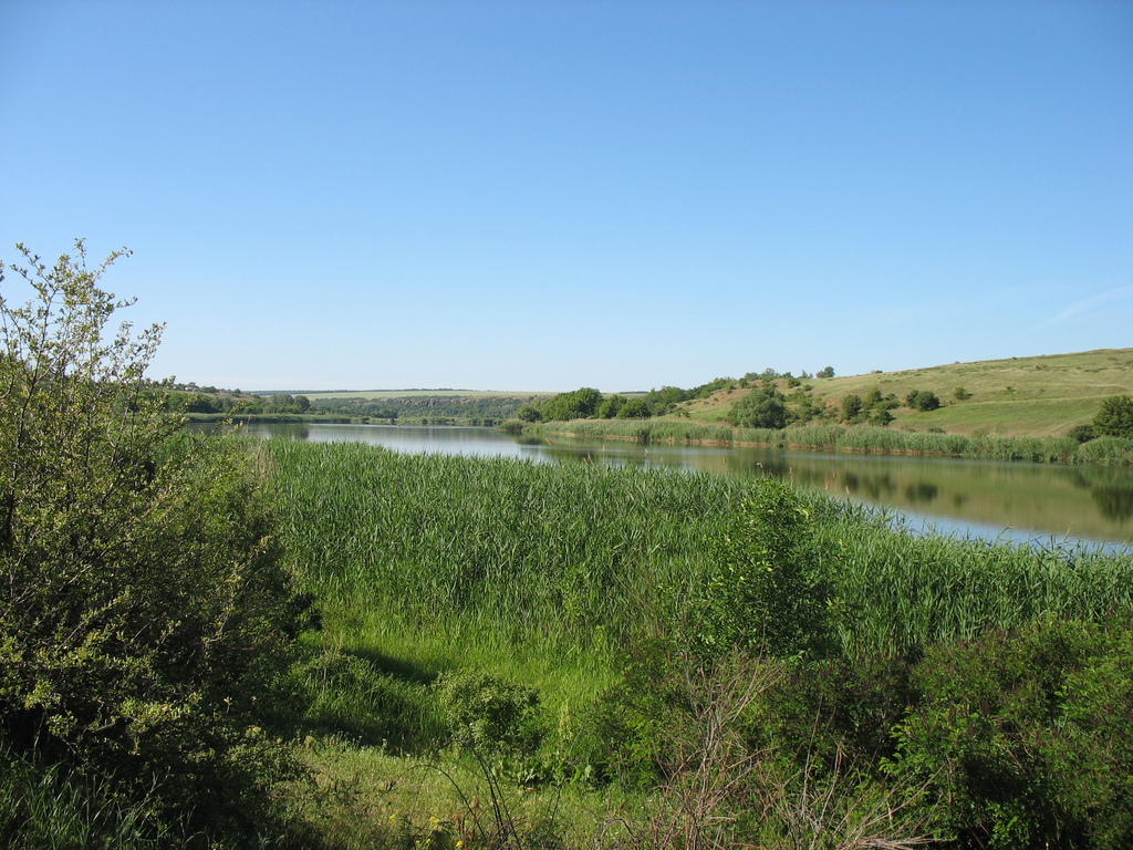 Река в перспективе