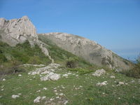 Скалы